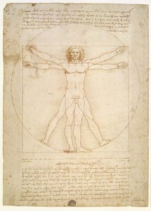 De Verhoudingen van het menselijk lichaam (naar Vitruvius), c.1492 door Leonardo da Vinci